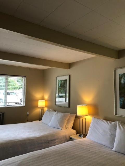 Pines Motel Sicamous Bagian luar foto