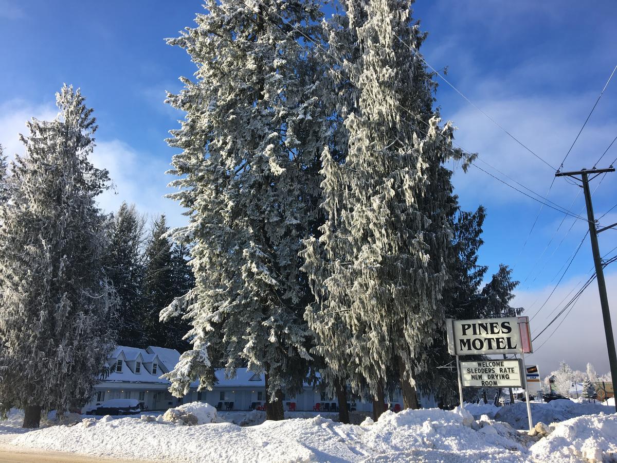 Pines Motel Sicamous Bagian luar foto